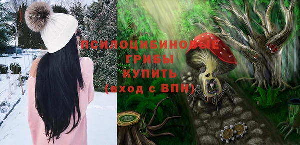 apvp Абаза