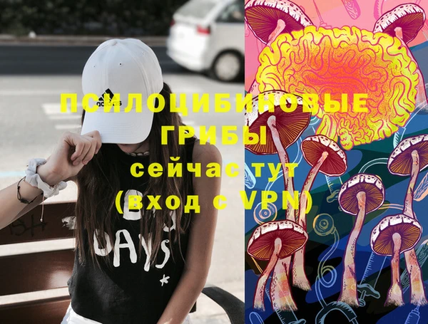 apvp Абаза